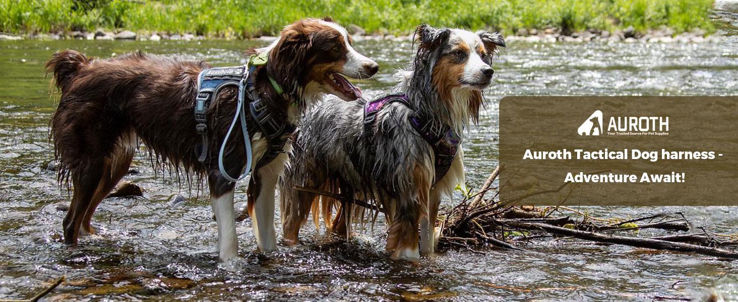 Auroth Tactical Dog Harness with 6 FT Tan Heavy Duty Dog Leash for Smallto Large Breed Dogs, No Pulling Reflective Dog Training Vest camo