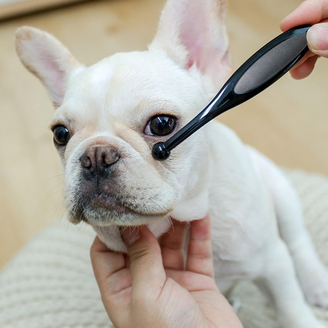 Pet Eye Cleaning Brush, Dog Tear Stain Remover, Puppy Eyelash Brush, Pet Care Supplies, Grooming Products, Gentle & Effective, Easy to Use