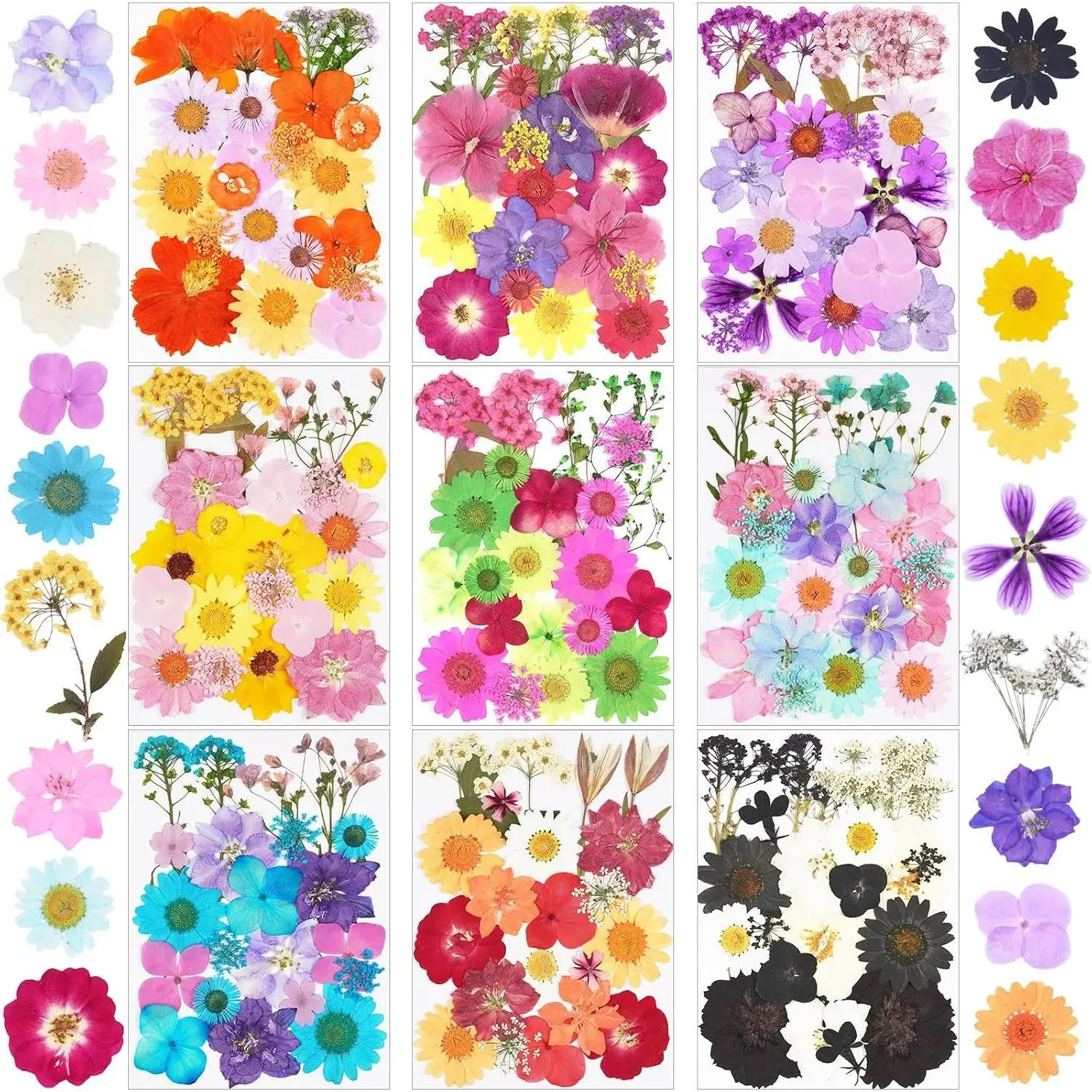 190Pcs Dried Pressed Flowers for Craft, Dry Flower Kit for Resin