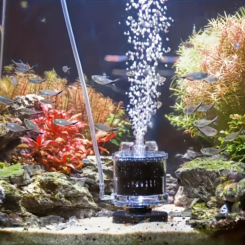1 Pc Aquarium Compressed Air Sponge Filter for 5-20 Gallon Fish Tanks, Durable Bio Bubble Filter with Transparent Design, Crystal Clear Water, Ideal for Betta Fish, Shrimp and Fry