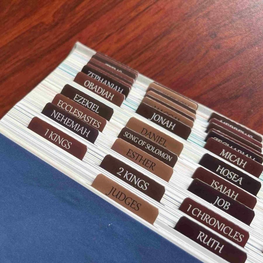 80pcs Thinkor Reposition Laminated Bible Tabs, Adhesive Tabs, Large Print Book Reading Stickers, Book Accessories, Easy to Read and Apply, Earthy, for Men and Women