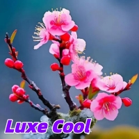 Luxe Cool