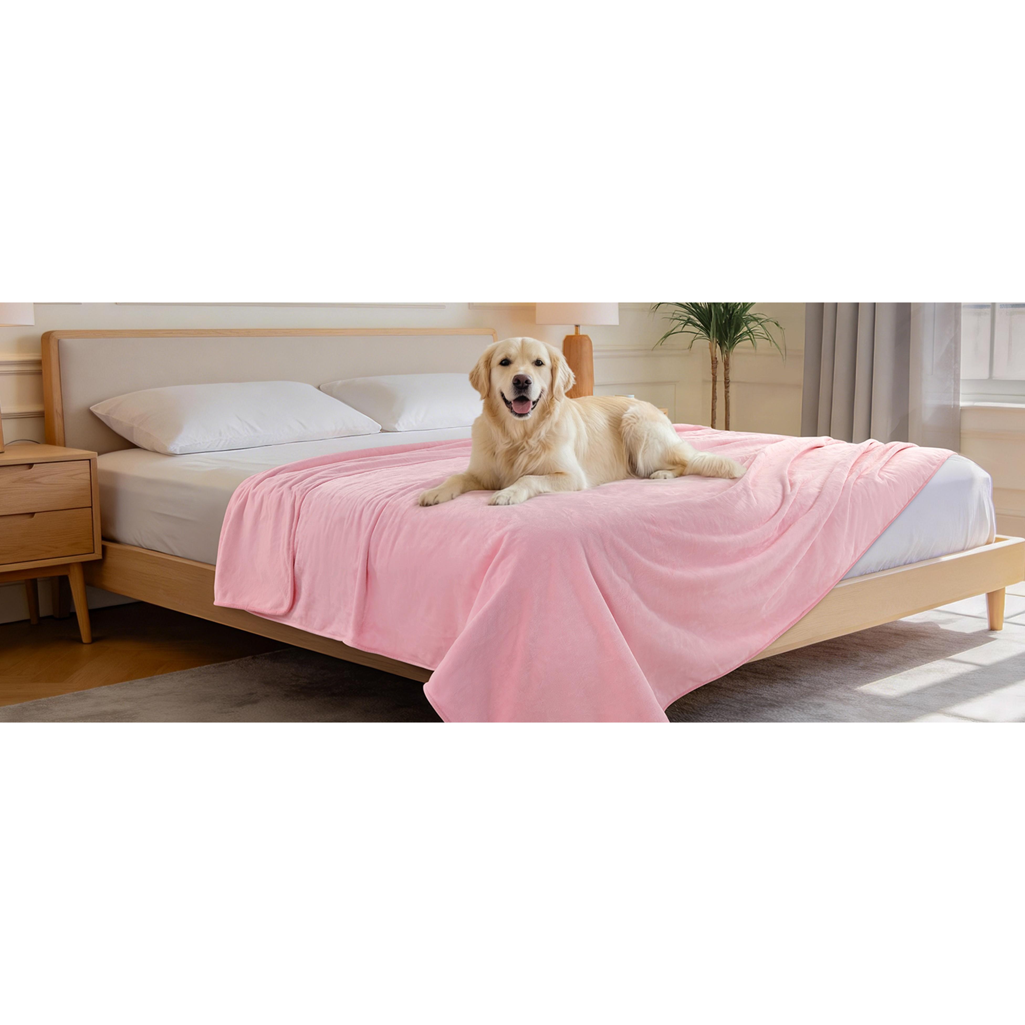 Waterproof Throw Blanket for Couch: Reversible Leakproof Couch Blanket 40" x 60", Soft Flannel & Coral Fleece Bed Blanket Stain-Proof for Sofa Cover, Pet Accidents, Travel, Grey Waterproof Throw Blanket for Couch: Reversible Leakproof Couch Blanket 40" x 60", Soft Flannel & Coral Fleece Bed Blanket Stain-Proof for Sofa Cover, Pet Accidents, Travel, Grey