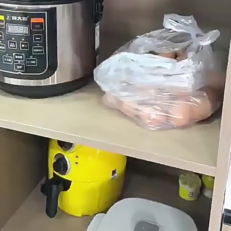 Large Capacity Refrigerator Egg Rack, 2 Layer Storage Box for 32 Eggs, Transparent Plastic Egg Tray, Fridge Organizer Container