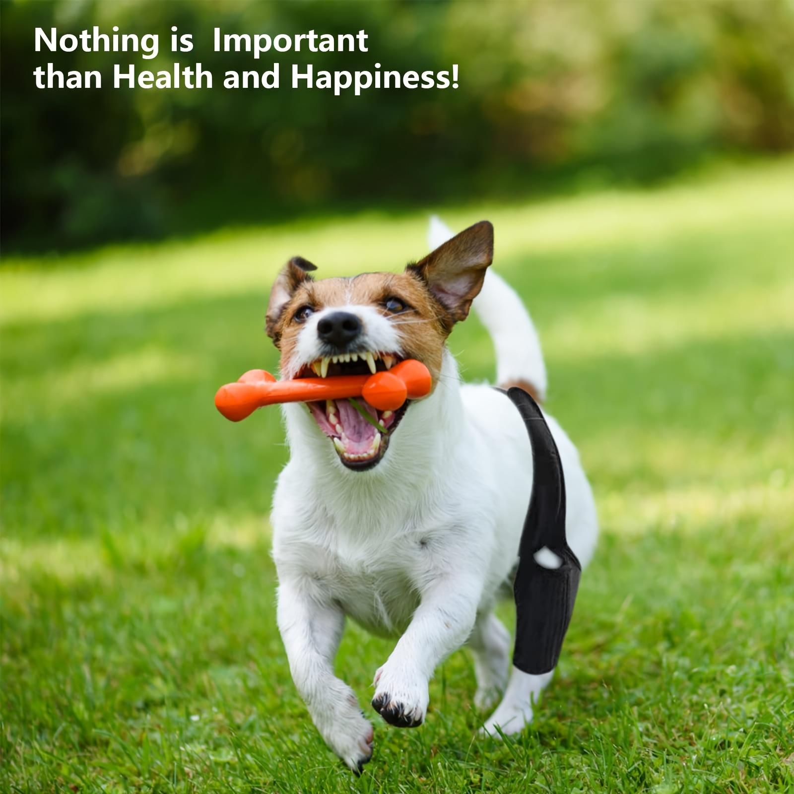 Adjustable Dog Rehabilitation Suit, Durable Breathable Polyester, Elbow Support, Post-Surgery & Joint Support, Prevents Licking, Secure Fit