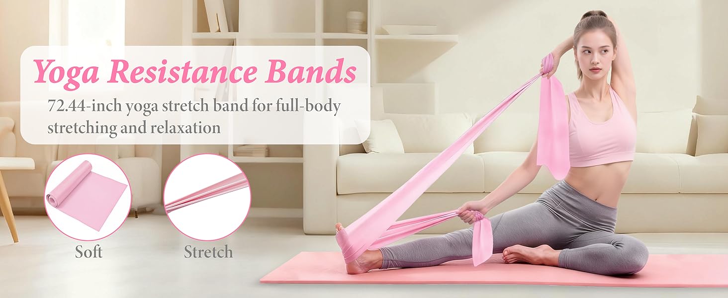 Pilates Kit for Home Workouts, Pilates Equipment Ring and Ball Set, Pilates Essentials Kit for Women, Home Pilates Workout Kit, Pilates Starter Kit for Women at Gym Studio Travel