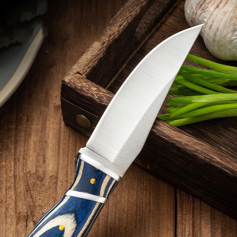 Stainless Steel Steak Knife, 1 Count Wooden Handle Fruit Knife, Durable Kitchen Knife for Home Kitchen, Kitchen Accessories, Stainless Steel Knives