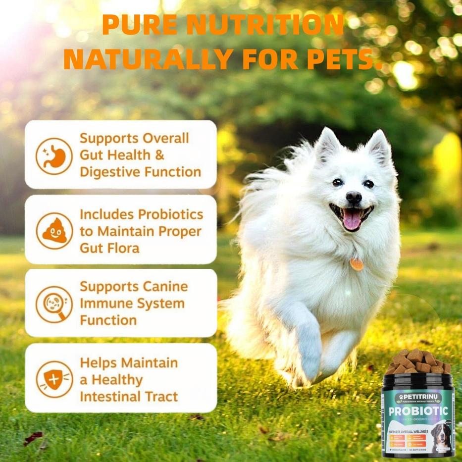 Probiotics for Dogs, All-Natural Gut & Skin Support for Dogs, Support Gut Health, Digestive Health & Seasonal Allergies CHICKEN Flavor 120 Soft Chews