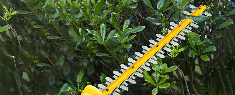 Alloyman 20V MAX Pole Hedge Trimmer,Telescoping Pole Hedge Trimmer,with 2 Packs 2.0Ah Batteries & Charger,8 Feet Hedge Trimmer for Shrubs Pruning