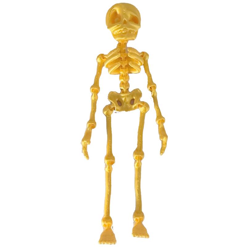 FuRise Magnetic Skeleton Action Figure – 3D Printed Art Toy, Movable Deformable Skeleton Figurine, Halloween Decor & Gift,Magnetic Skeleton Toy,FuRise 3D Printed Skeleton,Articulated Skeleton Action Figure FuRise Magnetic Skeleton Action Figure – 3D Printed Art Toy, Movable Deformable Skeleton Figurine, Halloween Decor & Gift,Magnetic Skeleton Toy,FuRise 3D Printed Skeleton,Articulated Skeleton Action Figure
