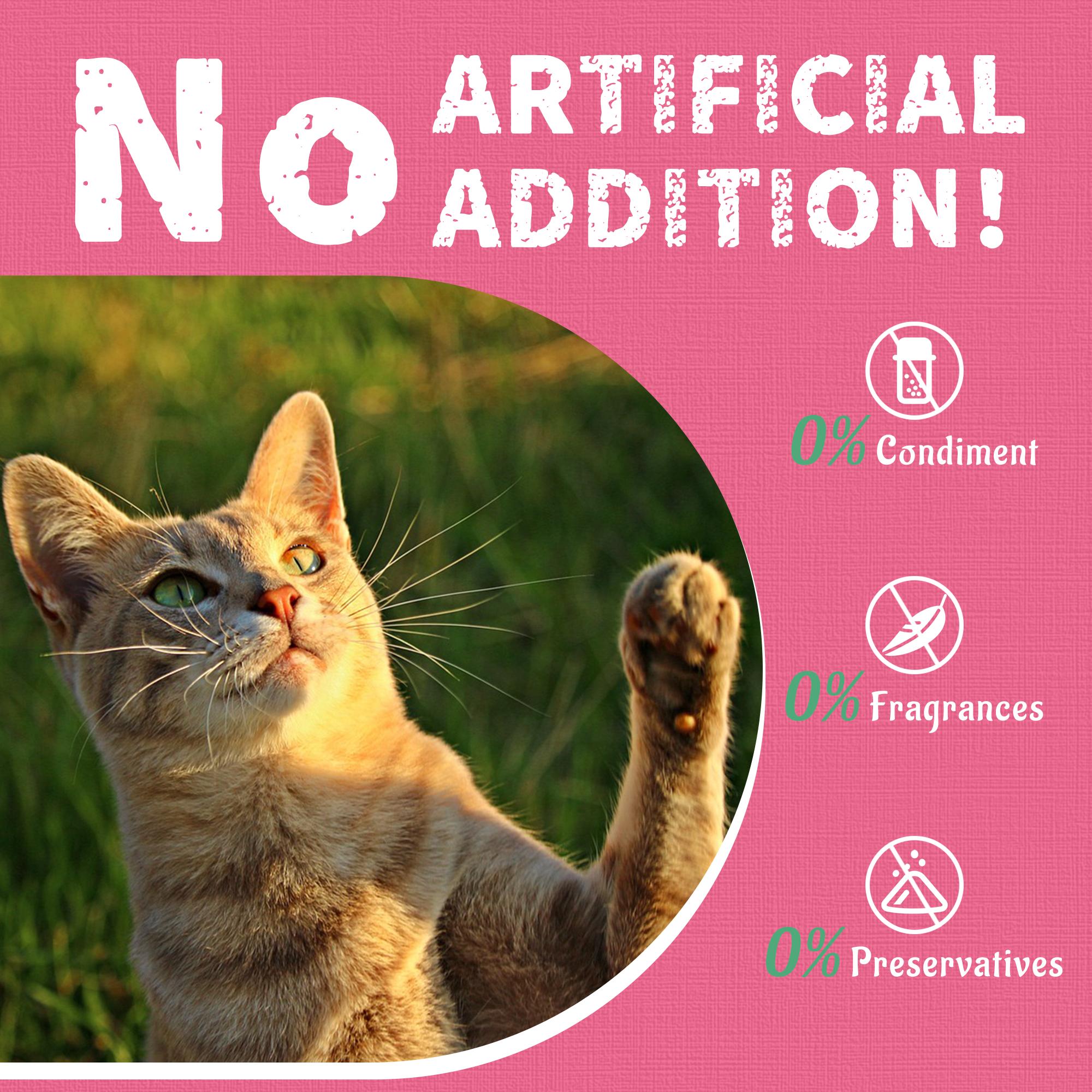 13.4 OZ Cat Treats Urinary Tract Health Supplement Cranberry and D-Mannose for Kidney Bladder and UT Support Salmon Flavor Crunchy Chews Cat Loves Food Natural