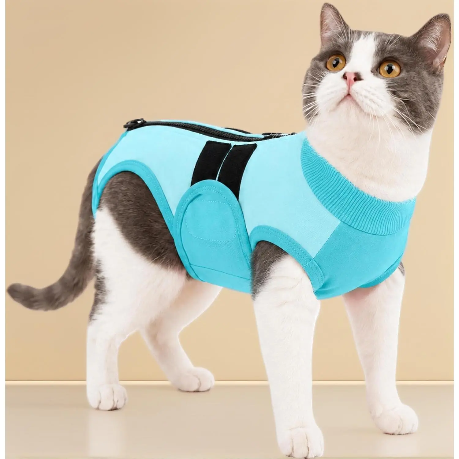 Cat Spay Surgery Recovery Suit, Anti‑Licking Abdominal Wound Protection Onesie, Back Zipper Belly Hook‑and‑Loop Comfort Wrap for Cats, Blue L Size