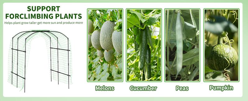 Lilypelle Tall Garden Arch Trellis, 87in Tall Metal Plant Support Trellis Archway for Climbing Vine Vegetable/Fruit/Flower Outdoor Yard Lawn Garden Lilypelle Tall Garden Arch Trellis, 87in Tall Metal Plant Support Trellis Archway for Climbing Vine Vegetable/Fruit/Flower Outdoor Yard Lawn Garden