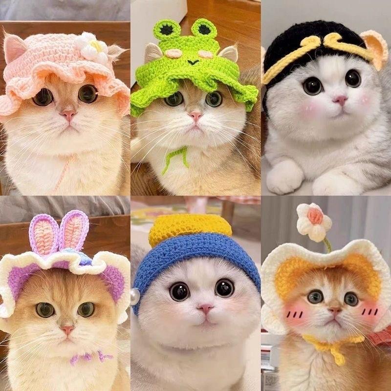 Cute Pet Hat for Cats and Dogs, Adorable Cat Hat, Fun Dog Hat, Perfect Accessory for Your Furry Friend, Stylish and Comfortable Clothing