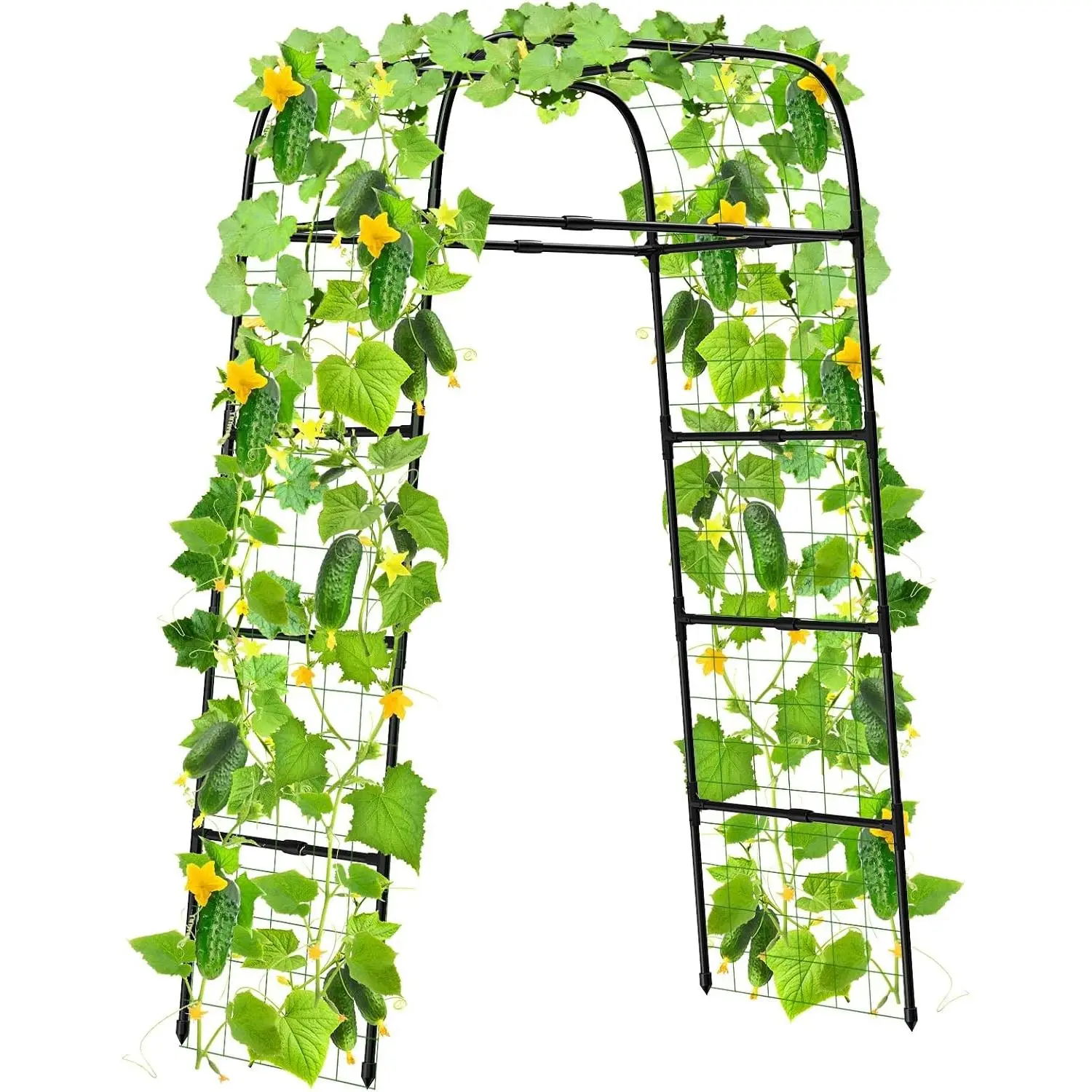 7ft Garden Arch Trellis for Climbing Plants Outdoor-Heavy Duty Metal Cucumber Trellis for Raised Beds- Tall Steel Vegetable Arbor for Climbing Vine Fruit Flower Yard Lawn Arch Tunnel Trellis