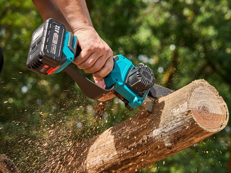 SeeSii 2-IN-1 Cordless Pole Saw & Mini Chainsaw, 8-inch Electric Saw Brushless with 2 * 4.0Ah Battery, 16-Foot MAX, Chain Saw with Extension Pole for Wood Cutting Trimming Branch CH810 #TikTokShopBlackFriday