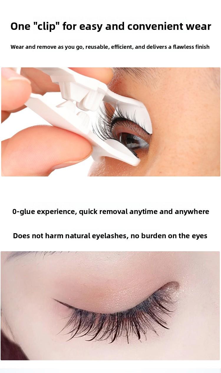 Fox Style Magnetic Eyelashes Natural Camellia Design 3D Thick Magnet Eyelashes No Glue Needed Waterproof Reusable for Women Girls