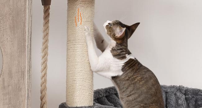 HOOBRO Cat Tree with Litter Box Enclosure, 31.5" L x 17.7" W x 57" H, Cat Tower with Hidden Litter Box, Cat Furniture for Indoor Cats, Cat Condos, Scratching Posts, Hammocks, Greige