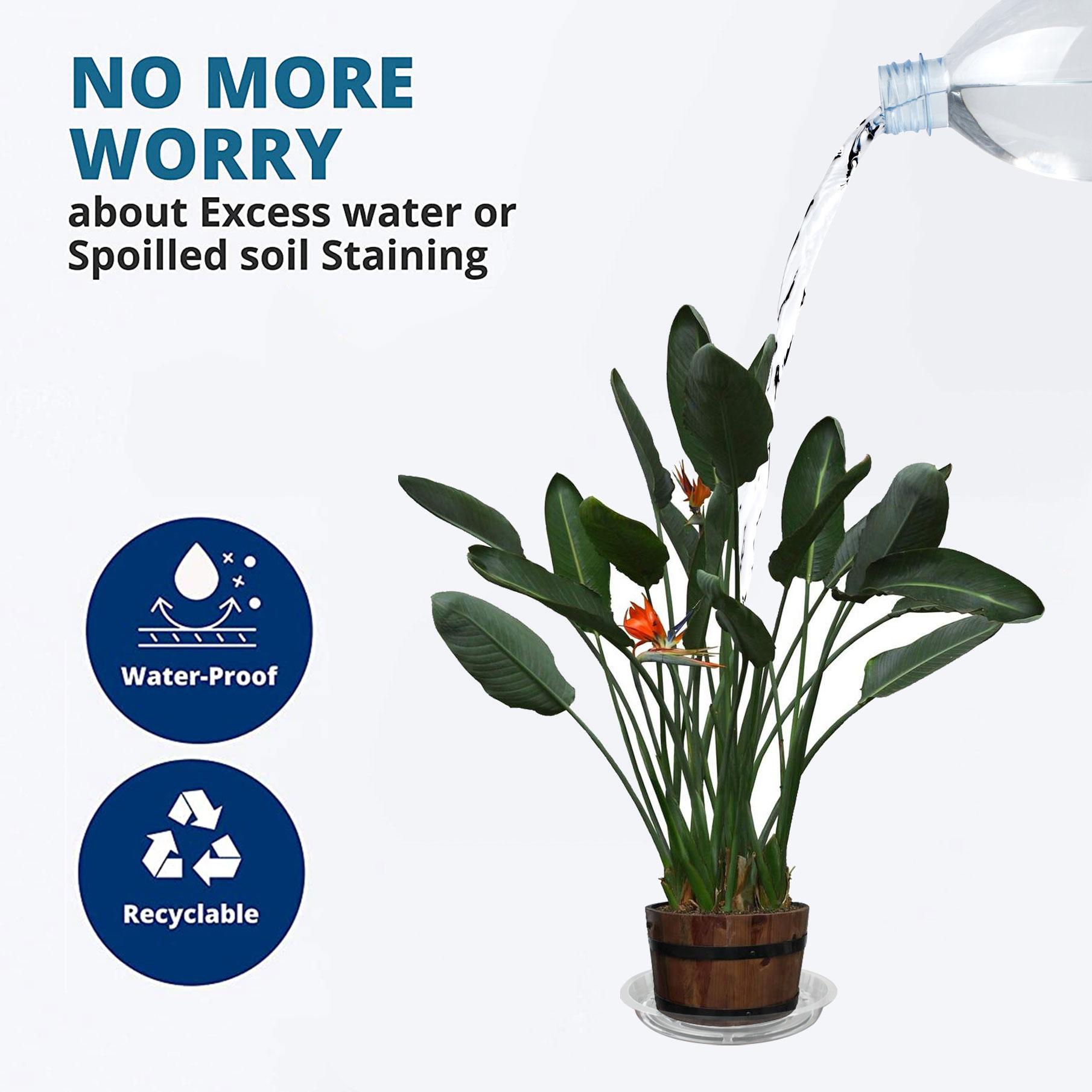 dealsforyoudays 5 Pack 12 in Clear Thick Plastic Heavy Duty Sturdy Plant Saucer Drip Trays Fit for pot