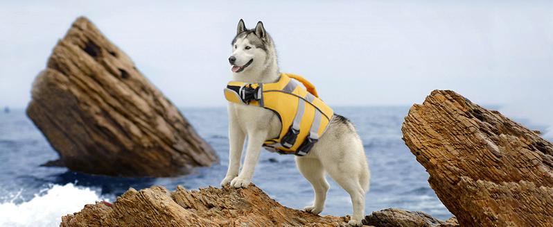 Kuoser Dog Life Jacket with Reflective Stripes, Adjustable High Visibility Dog Life Vest Ripstop Dog Lifesaver Pet Life Preserver with High Flotation Swimsuit Kuoser Dog Life Jacket with Reflective Stripes, Adjustable High Visibility Dog Life Vest Ripstop Dog Lifesaver Pet Life Preserver with High Flotation Swimsuit