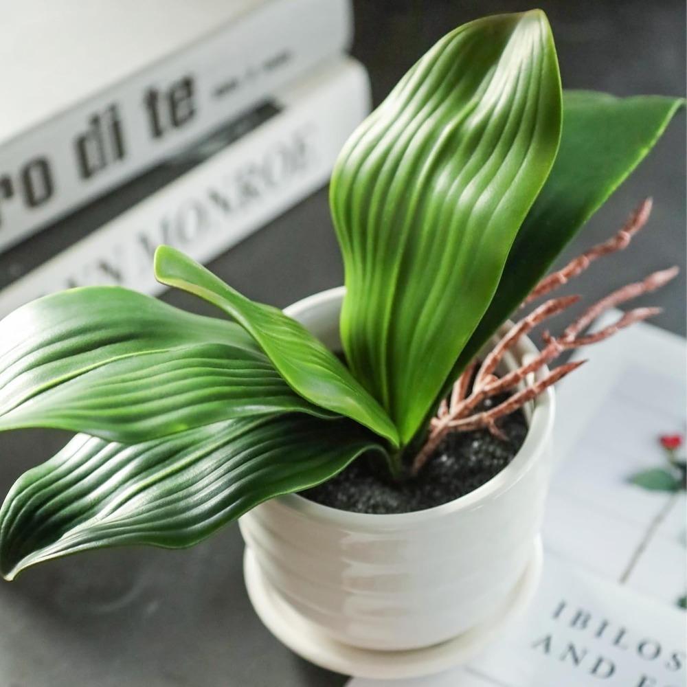 2Pack Orchid Leaves Artificial Artificial Orchid Leaves Real Touch Phalaenopsis Stems Faux Cymbidium Flower Foliage Green Artificial Orchid Bulk Lifelike Orchid Leaf Decor Faux Orchid 8 Inches