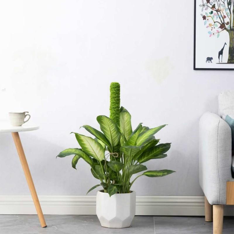 Simulated Moss Stick for Indoor and Garden Plants, Interlocking Coconut Fiber Sticks, Climbing Support for Pothos, Indoor Pot Plant Trellis
