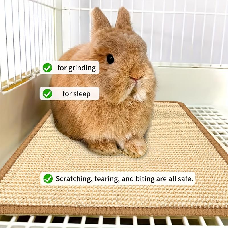 Natural Rabbit Scratching Pad, Random Pattern and Color, Claw and Tooth Care, Pet Cage Mat, Chew Toy, Suitable for Small Animals, Natural Sisal Scratcher