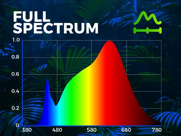 Barrina T5 Grow Lights with Black Cover, 4FT 160W (8 X 20W) with Magnetic Design, Full Spectrum, Plug and Play, Linkable, Yellow, 8 Packs