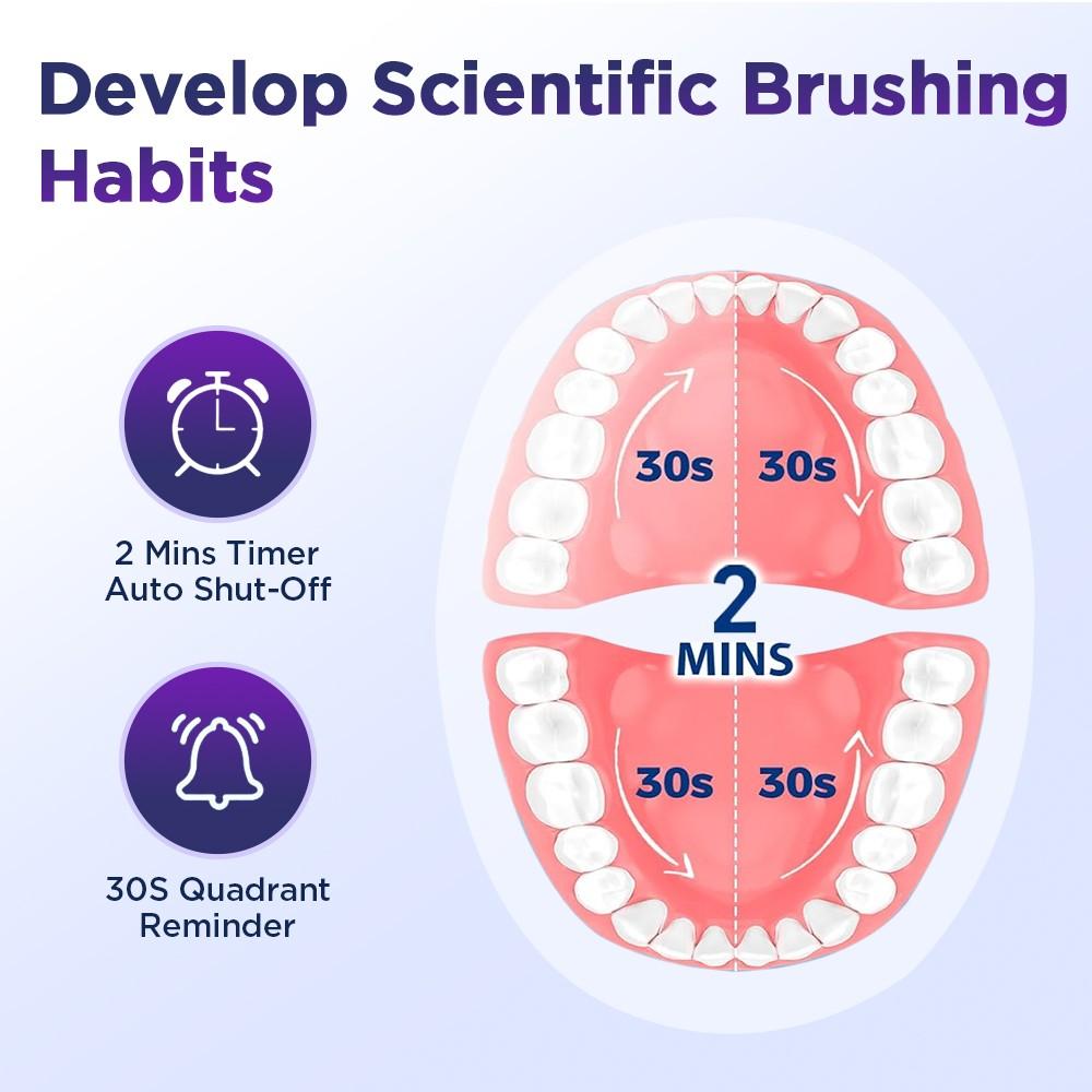 Rotating Electric Toothbrush with 5 Adjustable Modes, 2-Minute Timer with 4 Replaceable Brush Heads for Teeth Cleaning, Cleansing, Ideal for Daily Oral Care