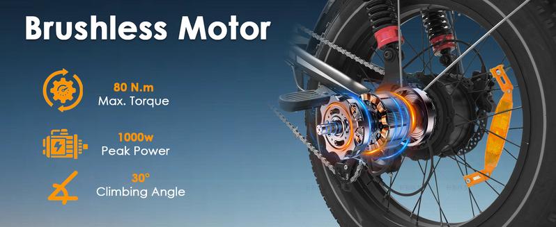 Electric Bike for Adults Peak 1000W, 31MPH,48V 17.5AH, E-Bike,35-45 Miles Electric Motorcycle, 20" Fat Tire Dirt Bike, UL2849 All Terrain for Mountains, Snow, Sand, Road