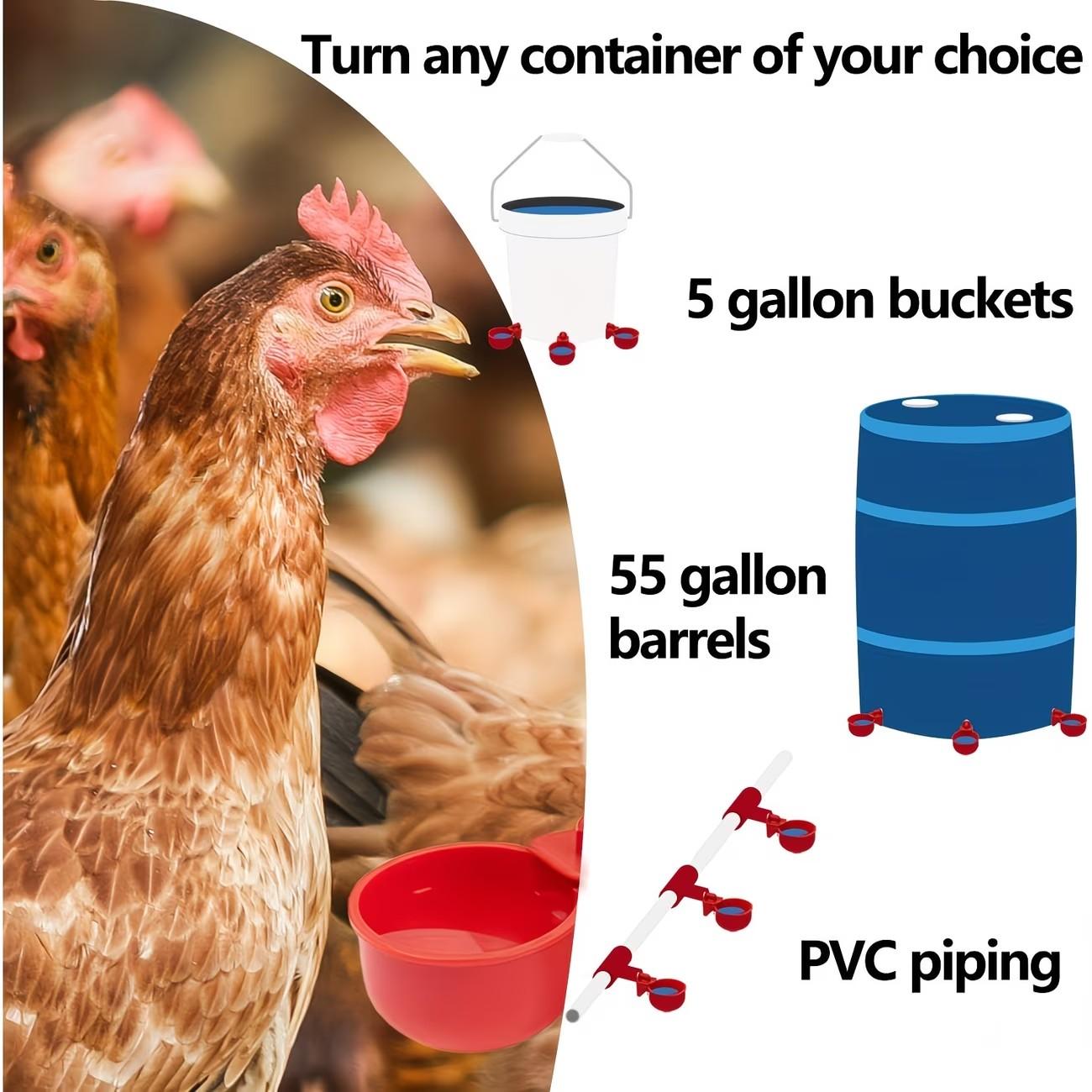 Automatic Chicken Water Cups Set, 12/24/36 Pieces, Poultry Feeder and Drinking Machine, Suitable for Chickens Ducks Quails