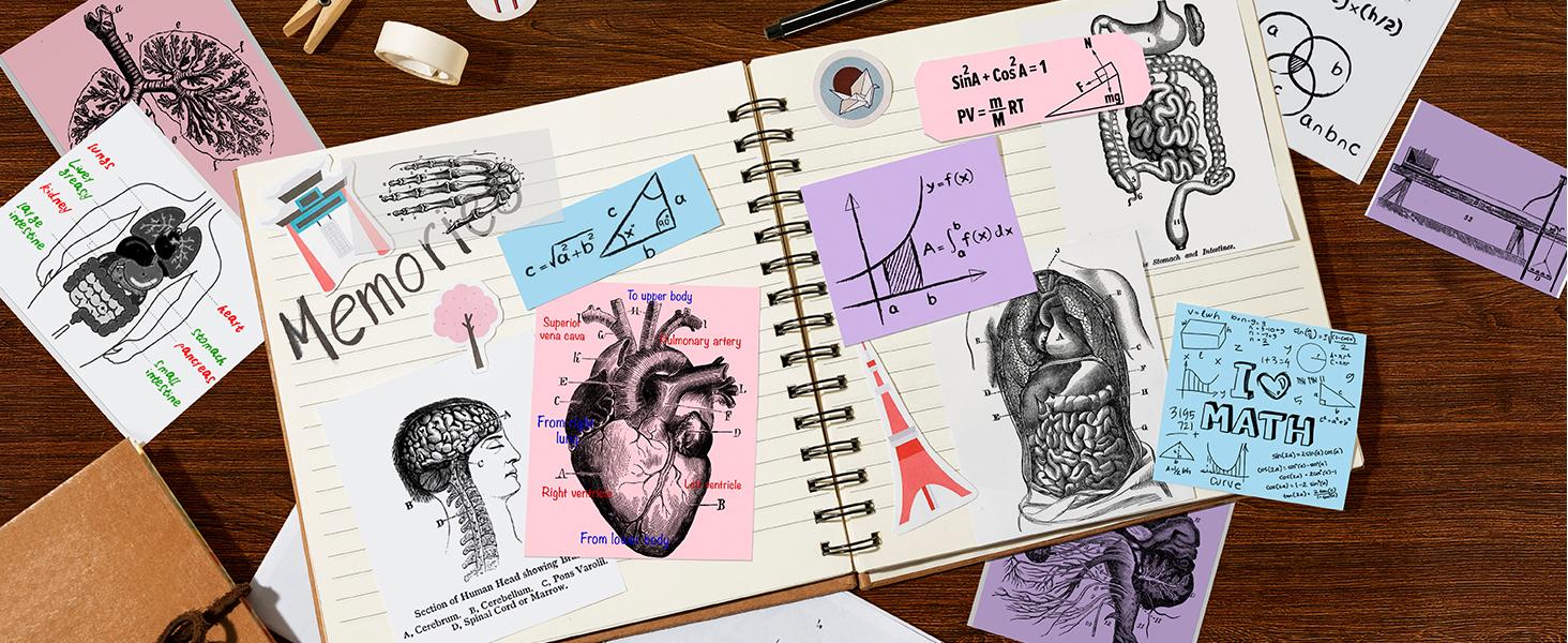 Genuine Self-Adhesive Thermal Printer Stickers, Compatible with PM230 Mini Sticker Printer, 54mmx3.5m, Only 3 Rolls Tape