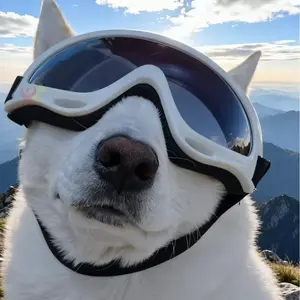 Double Strap Anti-drop Dog Sunglasses, Windproof Shock Resistant Pet Eye Goggles, UV Protective Eyewear for Small Medium Large Dogs Outdoor Travel