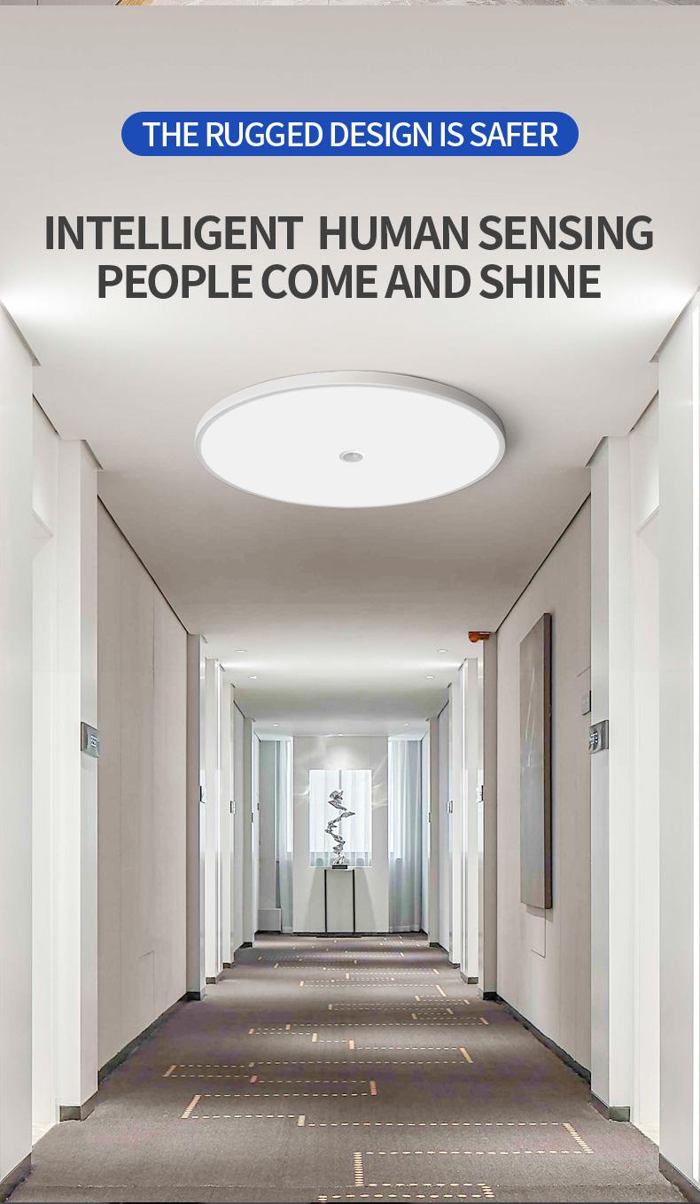 LED Induction Ceiling Light, Staircase Hallway Lamp, Infrared Human Radar Sensor, Smart Voice Control, Energy Efficient Lighting Solution