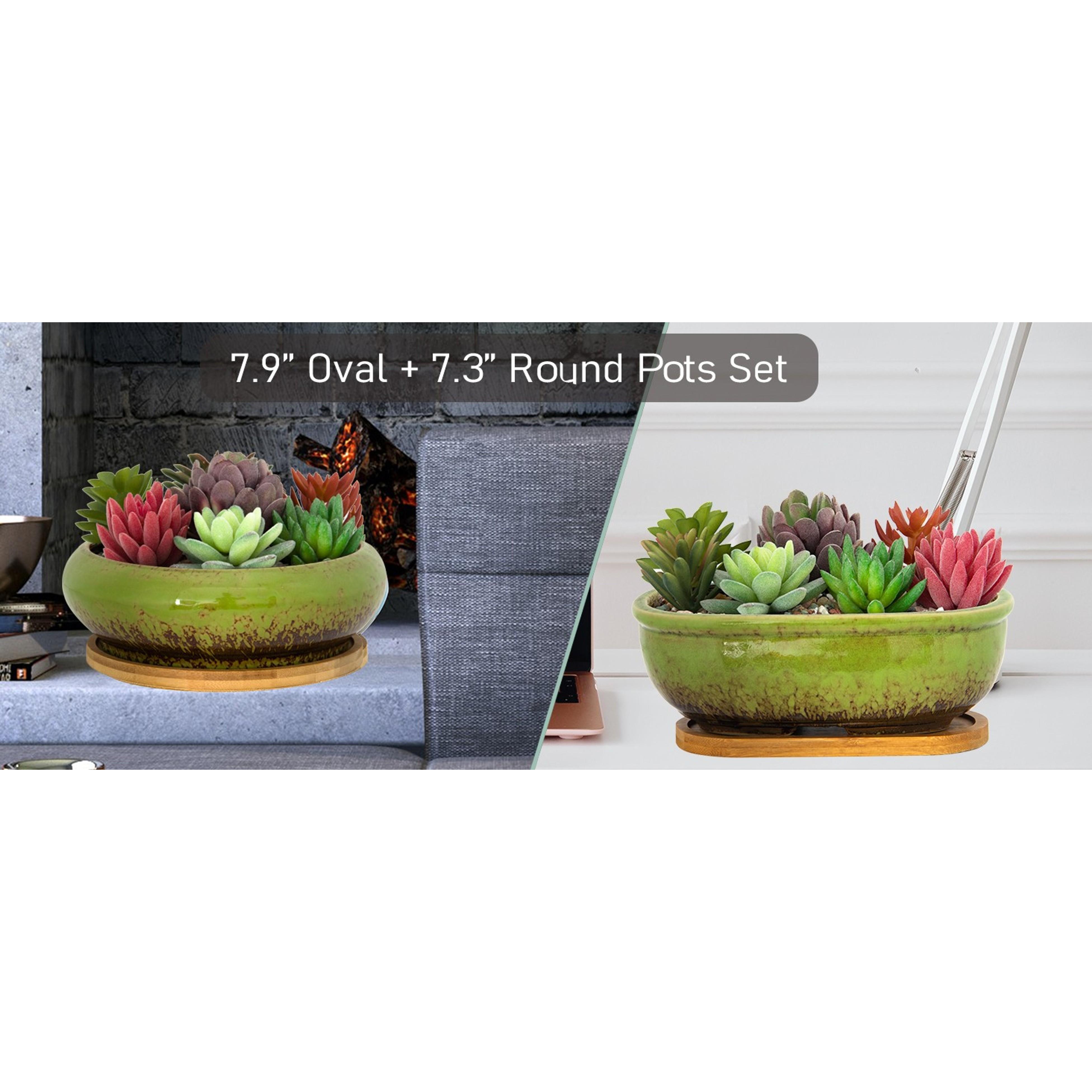 Succulent Pots - 11.5 Inch Ceramic Bonsai Pots with Drainage, Large Shallow Succulent Planters for Indoor Outdoor Plants, Round Glazed Cactus Flower Plant Container Bowl Home Desk Decor(Blue) Succulent Pots - 11.5 Inch Ceramic Bonsai Pots with Drainage, Large Shallow Succulent Planters for Indoor Outdoor Plants, Round Glazed Cactus Flower Plant Container Bowl Home Desk Decor(Blue)