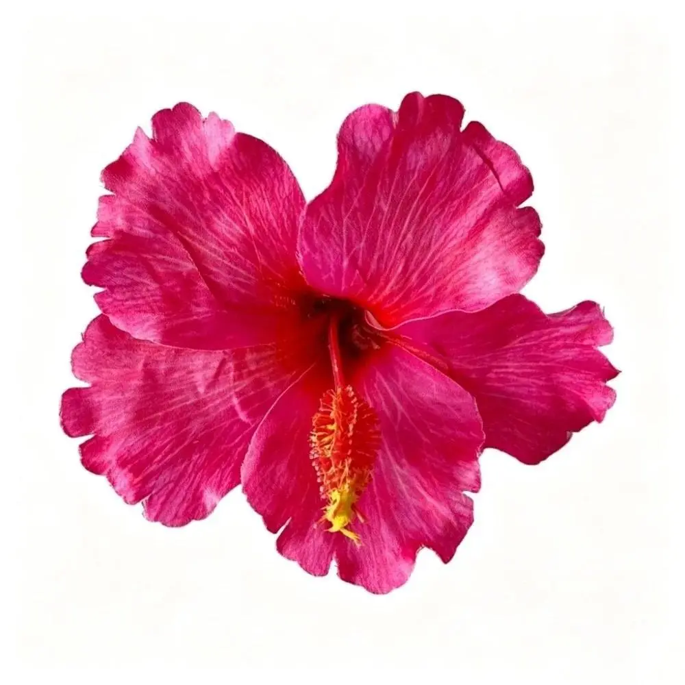 Artificial Flower Hibiscus Flower Hair Clip Do Not Hurt Hair Bohemia Style Bangs Hairpin Photo Beach Travel Side Clip Summer