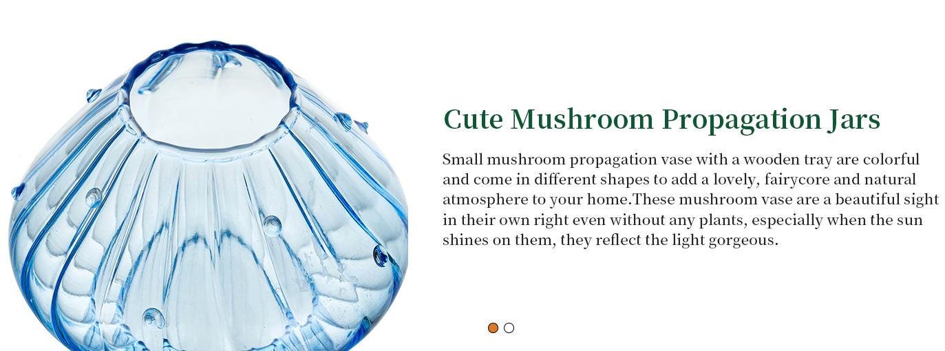 Mushroom Vase, Set of 5, Boho Style Bud Vases with Wooden Tray, Unqiue Planters for Indoor Plants, Decorative Flower Vases for Home Decor, Dealsforyouday