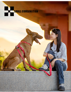 SMALL COMBINATION PET PARADISE