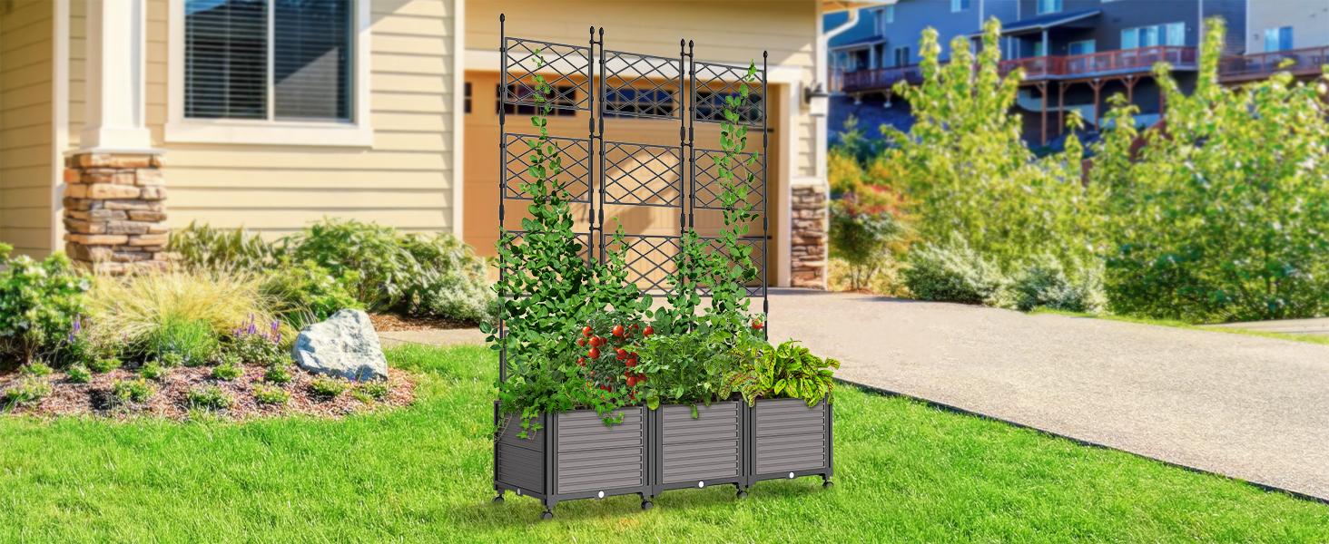 MOPHOTO Raised Garden Bed with Trellis & Wheels, Planter Box Privacy Screen Free-Standing Trellis for Vine Climbing Plants Flowers in Garden Patio Balcony