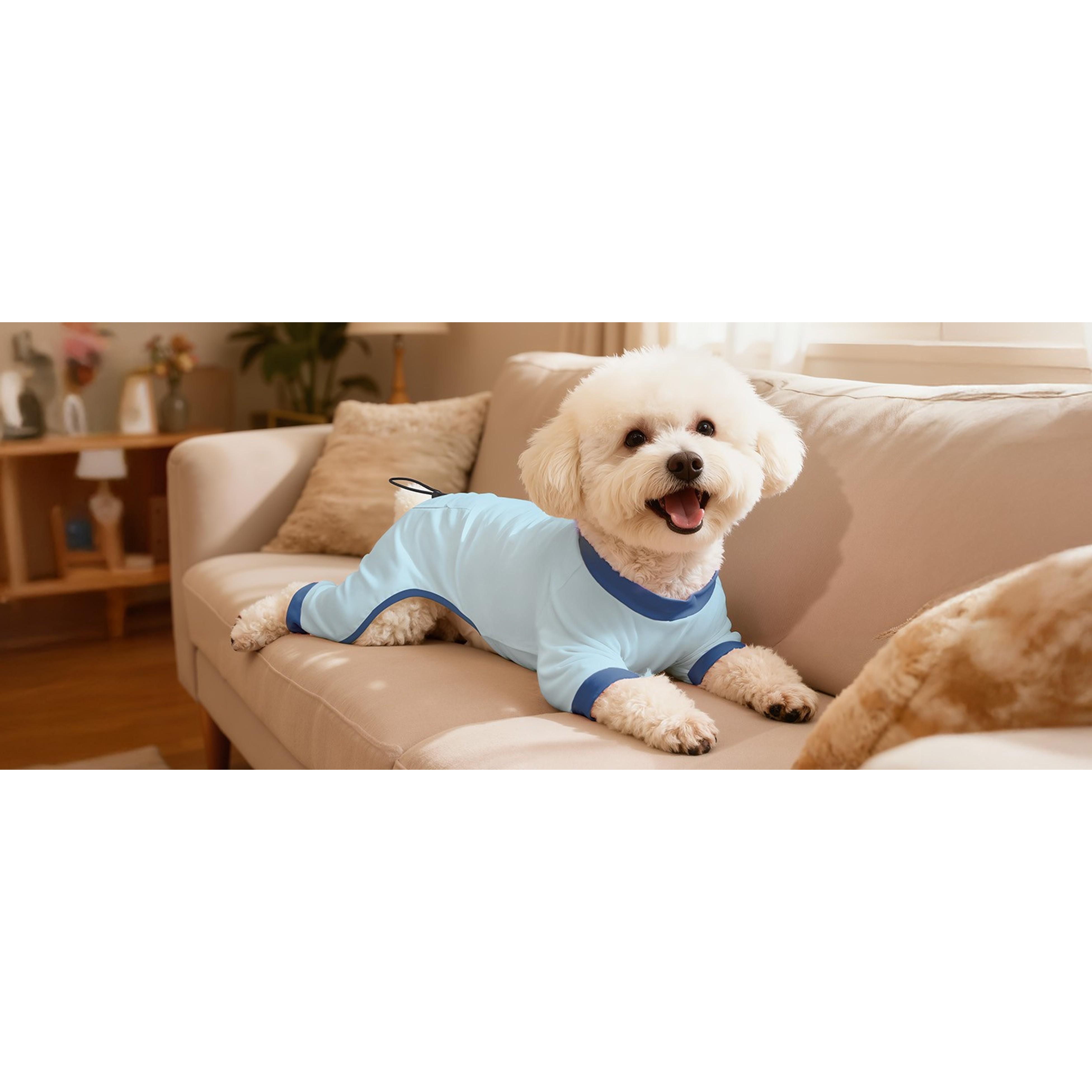 Dog Pajamas, 4 Pack Dog Recovery Suit Shedding Suit Cute Soft Puppy Clothes Dogs Pjs Onesies Jammies Adjustable Breathable & Stretchy Clothes for Small Medium Large Dogs Girl Boy Puppy-M Dog Pajamas, 4 Pack Dog Recovery Suit Shedding Suit Cute Soft Puppy Clothes Dogs Pjs Onesies Jammies Adjustable Breathable & Stretchy Clothes for Small Medium Large Dogs Girl Boy Puppy-M