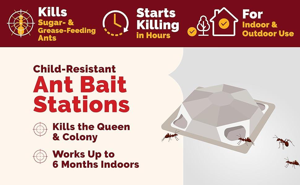 Ant Bait, 0.07 oz Bait Stations, 4 Count, 12 Pack