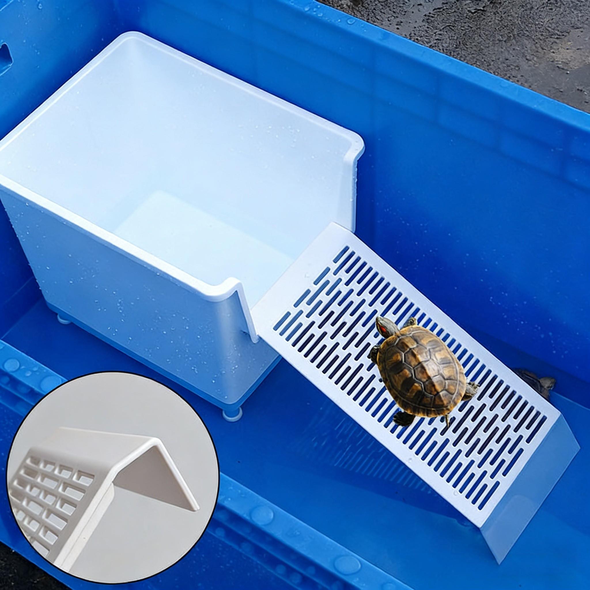 Turtle Climbing Ramp Platform, Plastic Turtle Ladder, Dual Ladder for Frogs, Water Turtles, Reptiles, Sand Pool, Breeding Box Use