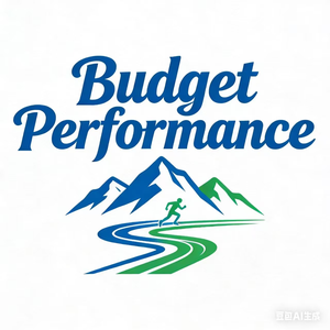 Budget Performance