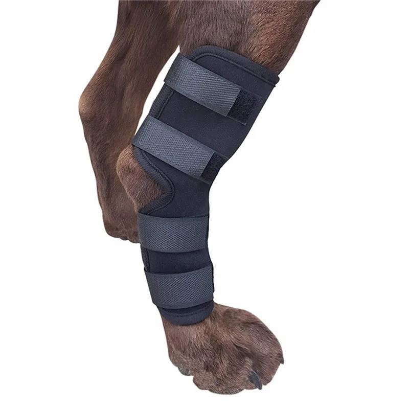 1Pair Pet Knee Support Braces – Hock Joint Wraps For Dog Leg Injury Recovery & Mobility Protection 