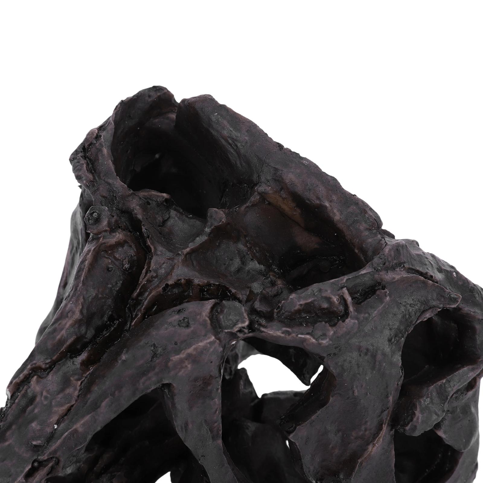 Dinosaur Skull Statue,Dinosaur Sculptures Bracket Tyrannosaurus Skull Replica Decoration Skull Bones Resin Replica with Bracket for Home Office Decor Shelf Display
