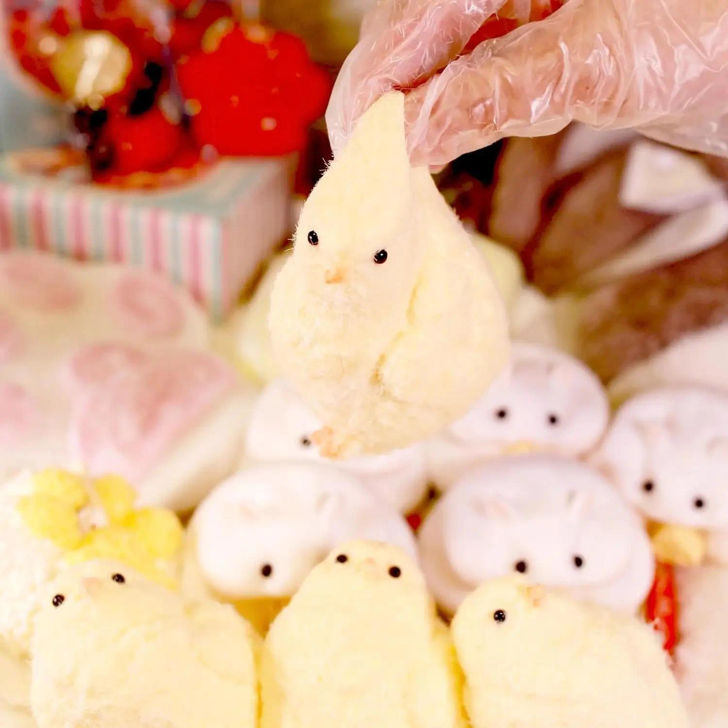 Cute Handmade Chick Squishy Toys Ultra Soft Squishy Fidget Toys Silicone Pinch Entertainment Games for Children Christmas Gifts