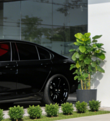 Vehicle Tech Workshop