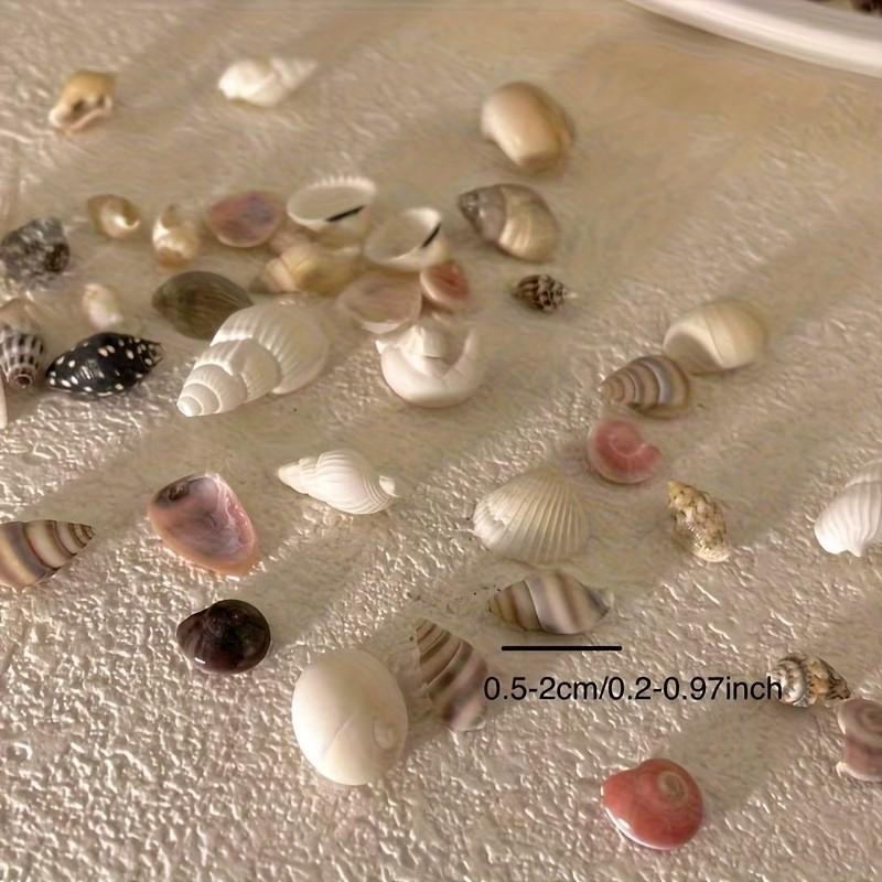 Colorful Mini Shells, Various Patterns and Colors, Ideal for DIY Crafts, Collage Art, Bottle Decorations, Fish Tank Accessories, Gift Ideas