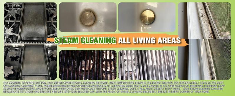 Pressurized Handheld Multi-Surface Natural Steam Cleaner with 12 pcs Replacement Parts , Multi-Purpose Steamer for Springtok , Home and Car Thanksgiving Early