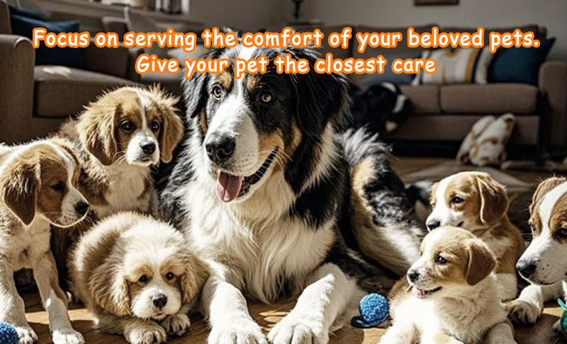 Valentine's Pet Dress, Pink Dog Dress with "I Woof You So Much" Print & Red Bow & Heart Print, Dog Sundress with Bowknot, Soft Pet Clothes for Small Medium Dog & Cats, Cute & Comfortable Dog Apparel for Romantic Sweet Themed Party Weeding Occasions